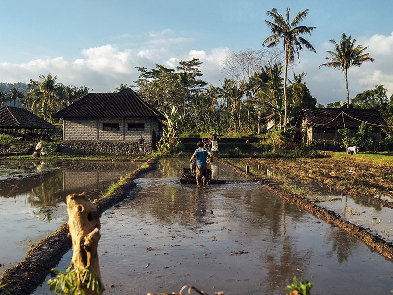 avada-charity-farming-featured